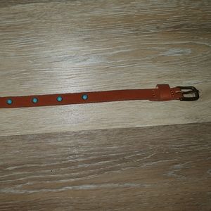 American Eagle Turquoise Detailed Skinny Belt